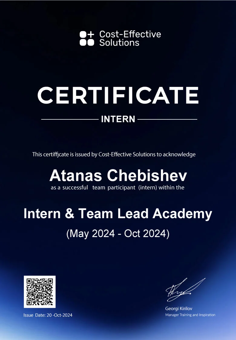 Intern & Team Lead Academy (May 2024 - Oct 2024)